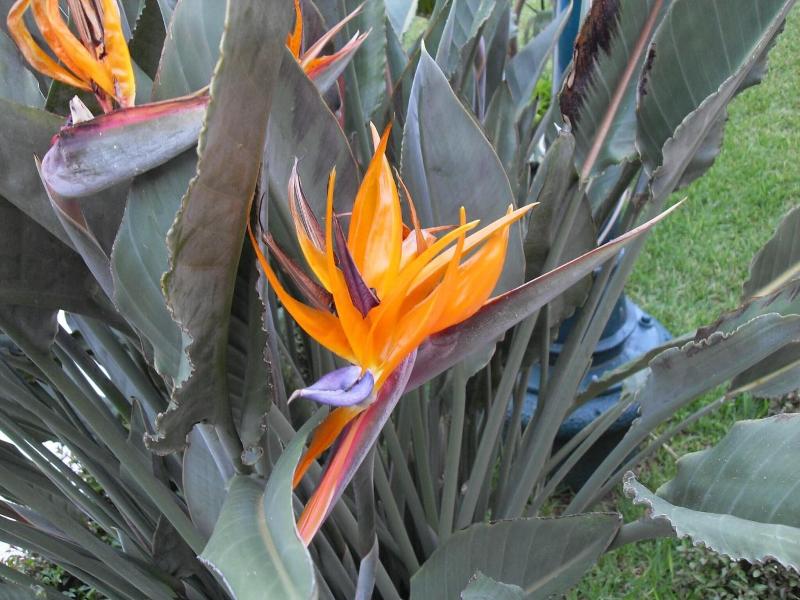 Hotel Playa Cristal, Catemaco