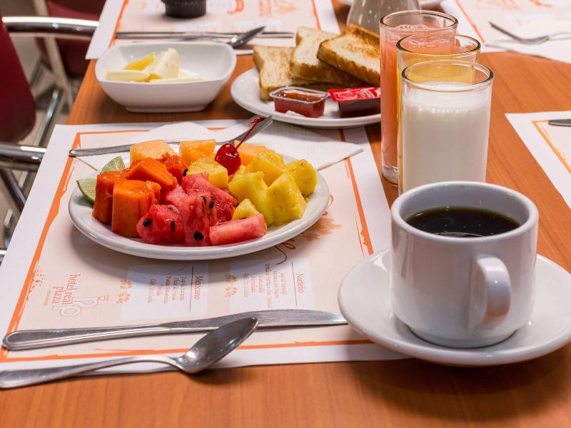 Hotel Real Plaza Aguascalientes image