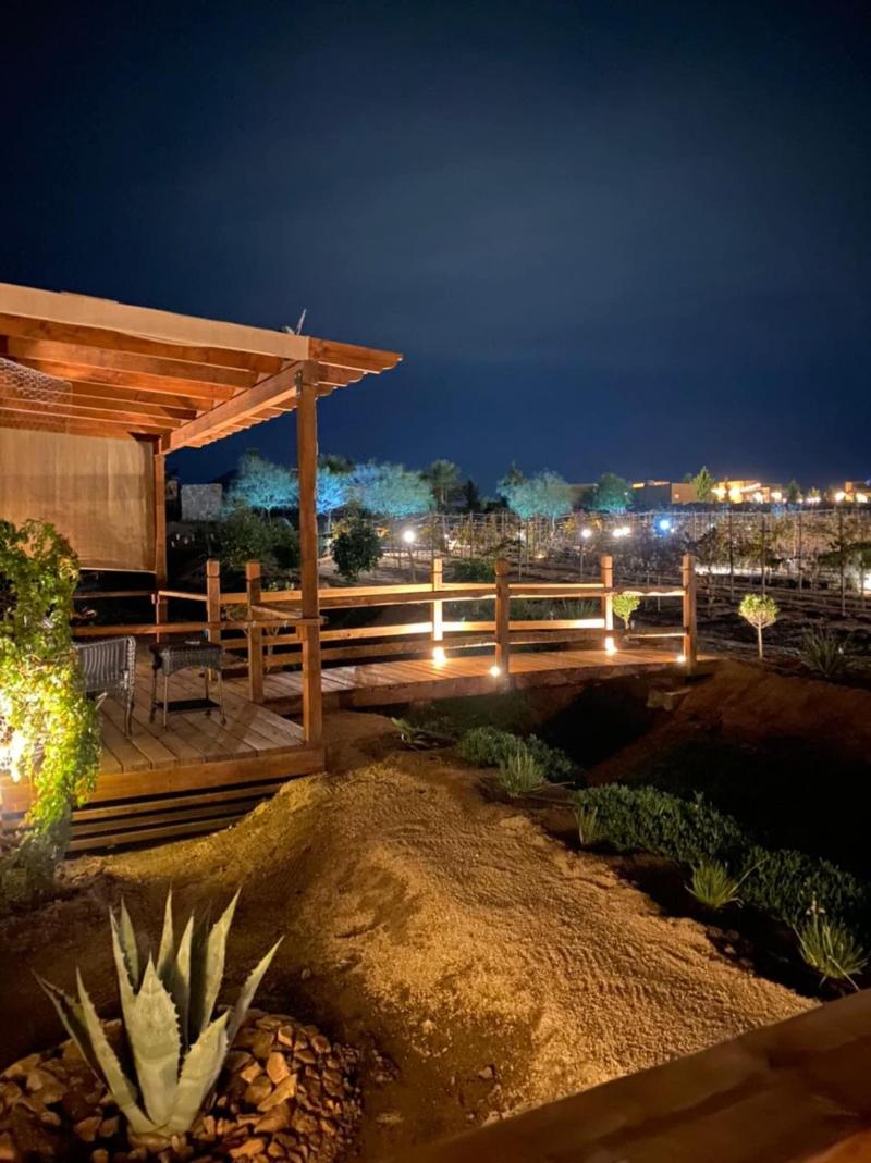 Luna Del Valle image