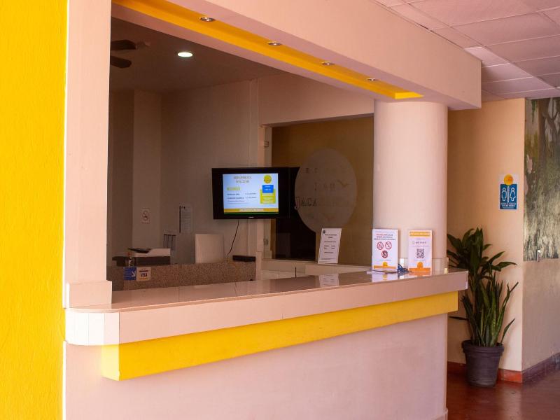 Hotel Las Jacarandas image
