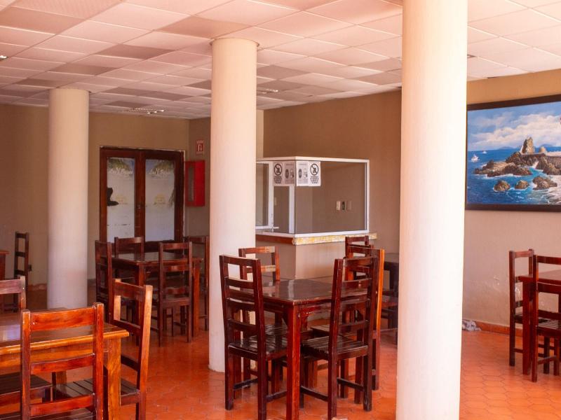 Hotel Las Jacarandas image