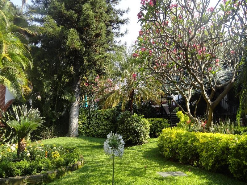 Hotel Vista Hermosa image
