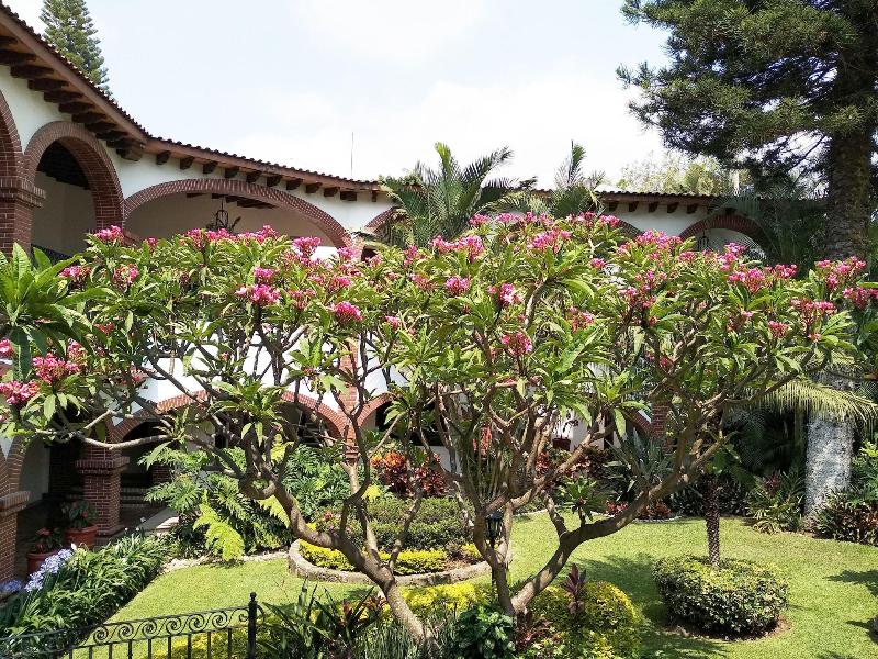 Hotel Vista Hermosa image