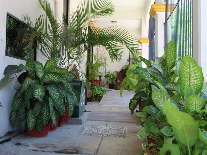 Hotel Arrecife Plus image