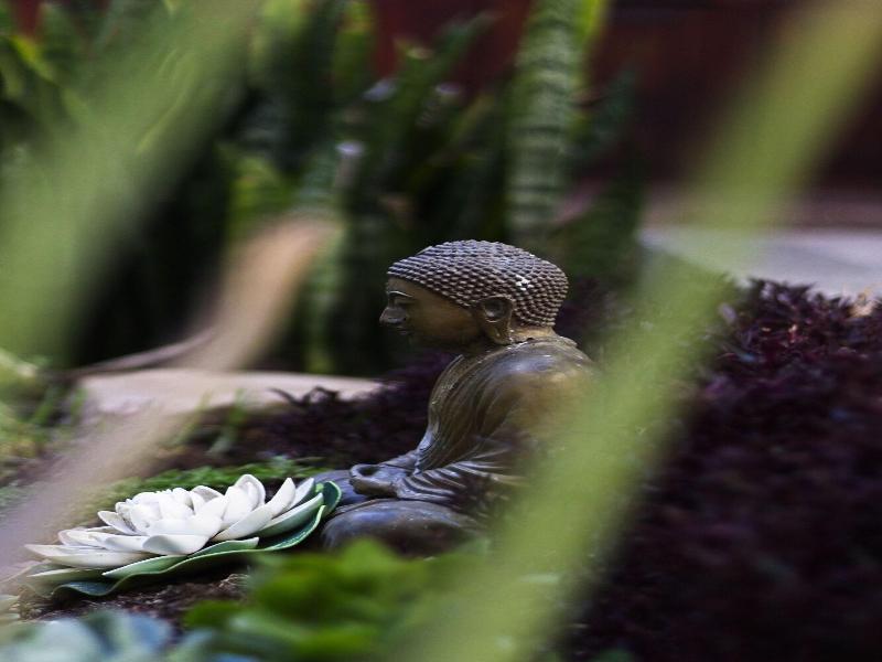Ganesha 5 De Mayo image