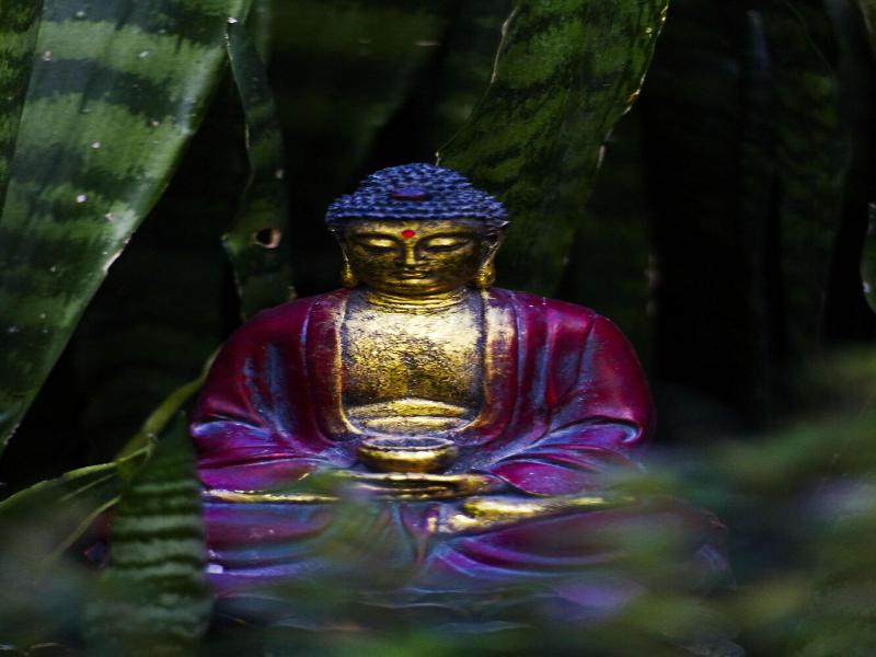 Ganesha 5 De Mayo image
