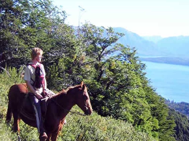 La Roca De La Patagonia