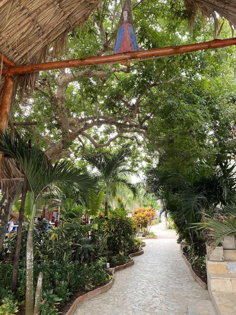 Hotel Isla Real image