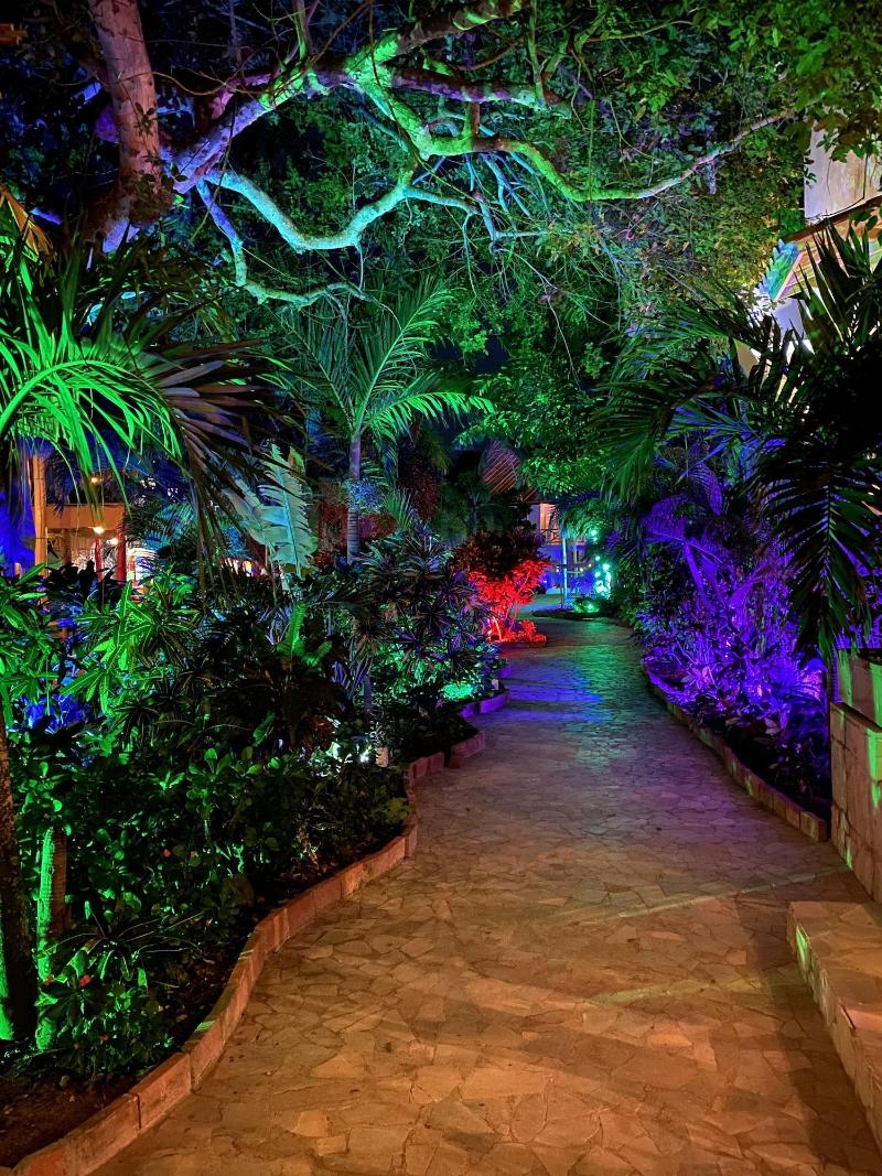 Hotel Isla Real image