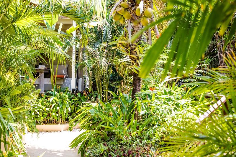 Bamboo Bali Bonaire image