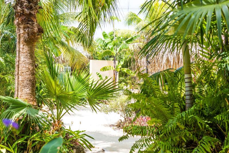 Bamboo Bali Bonaire image