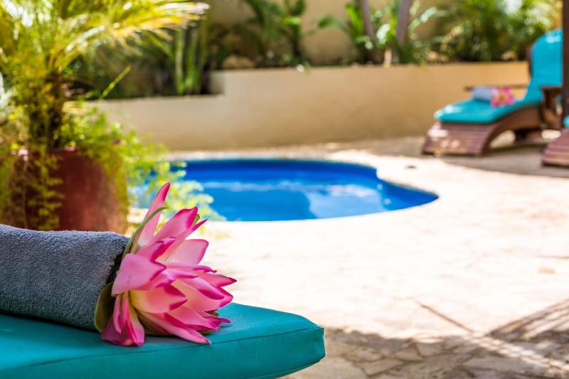 Bamboo Bali Bonaire image
