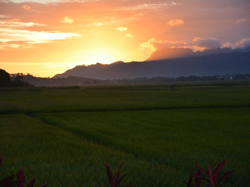 Sunset Valley