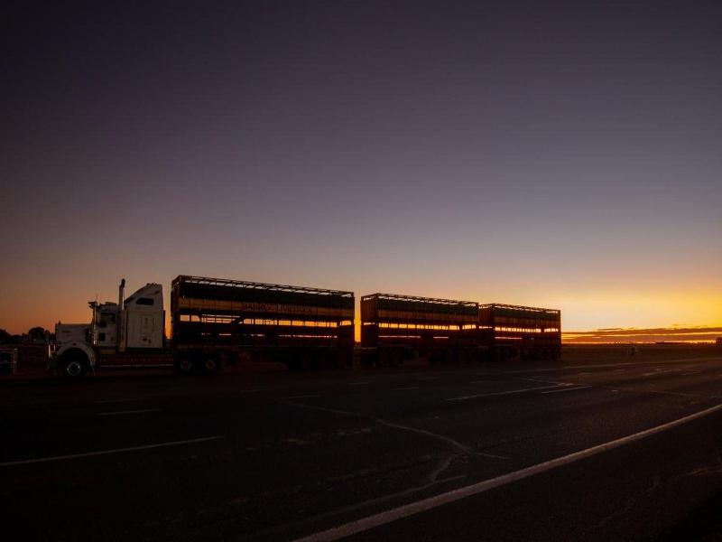 Longreach Outback Adventures image