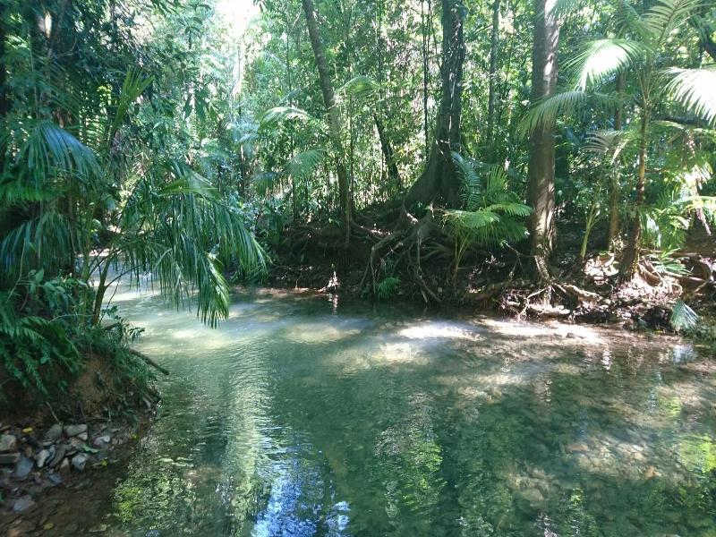Daintree Peaks Eco Stays image