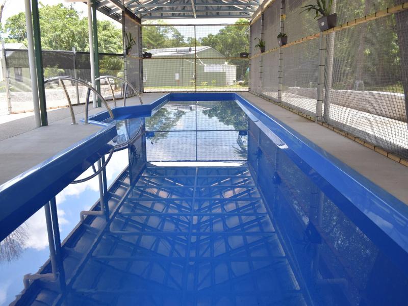 Daintree Peaks Eco Stays image