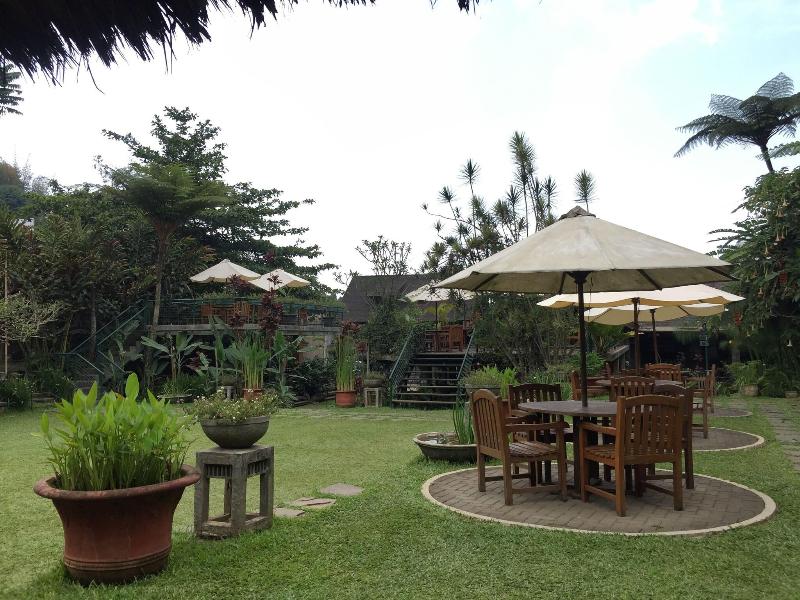Rumah Stroberi Organic Farm And Lodge