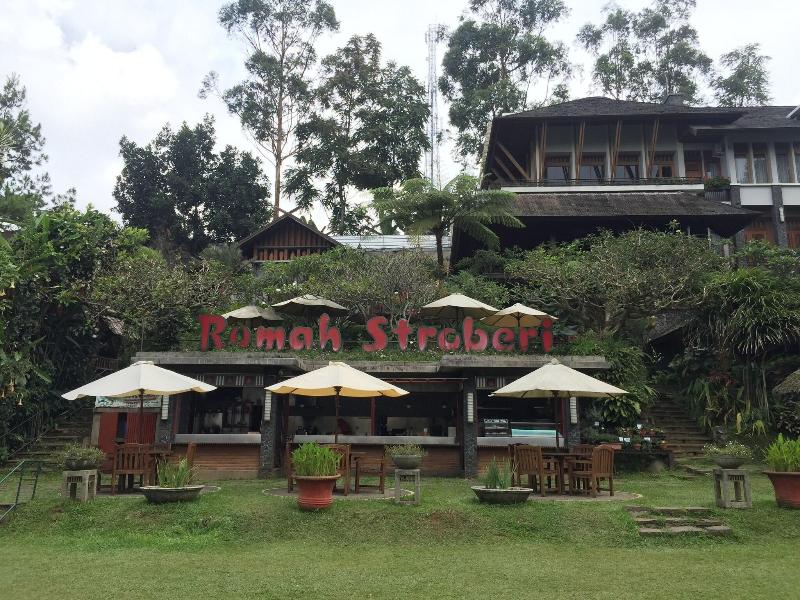 Rumah Stroberi Organic Farm And Lodge