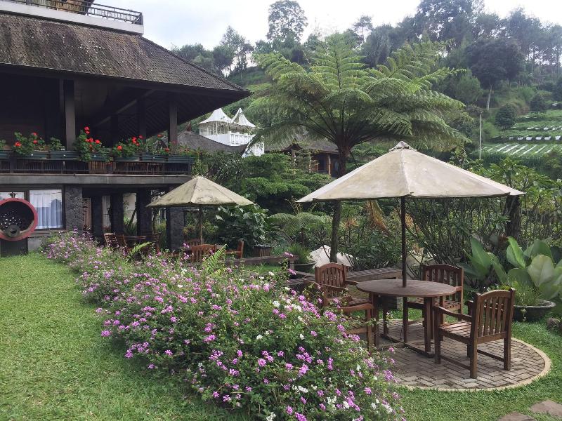 Rumah Stroberi Organic Farm And Lodge