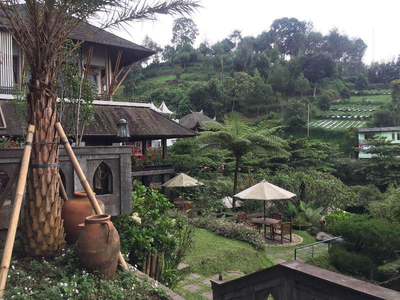 Rumah Stroberi Organic Farm And Lodge