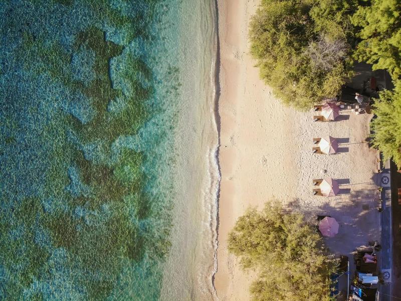 Vamana Resort image
