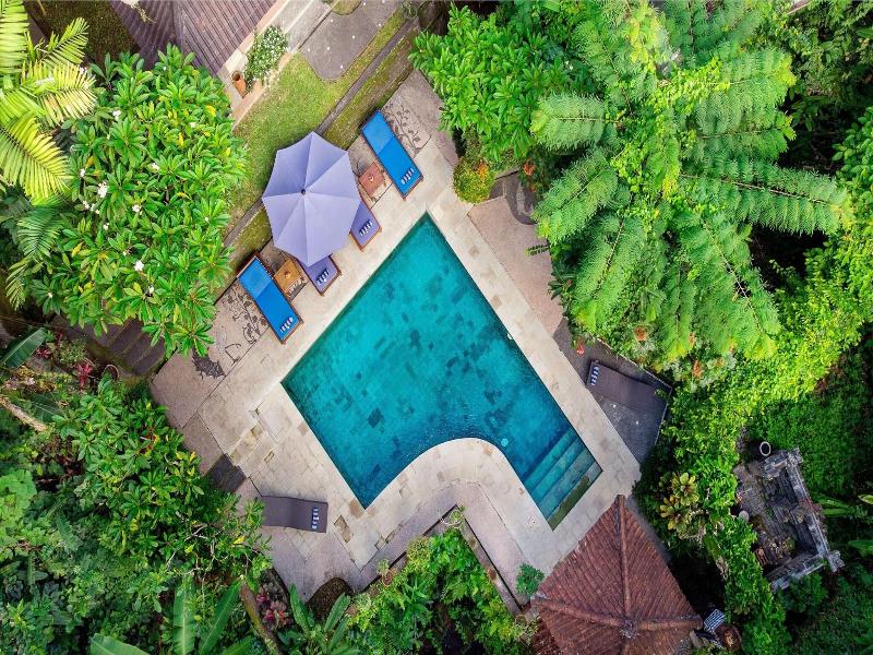 Kebun Indah image