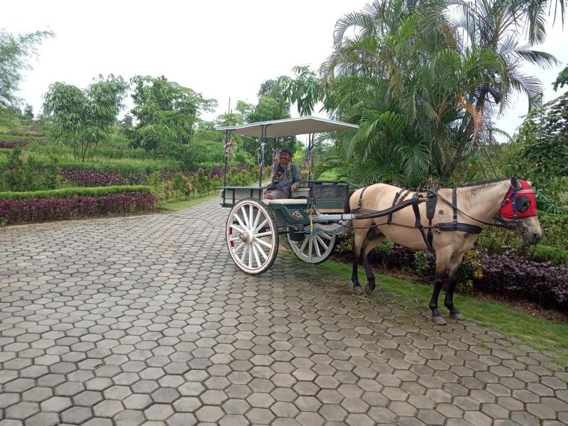 D'Bamboo Kamp image