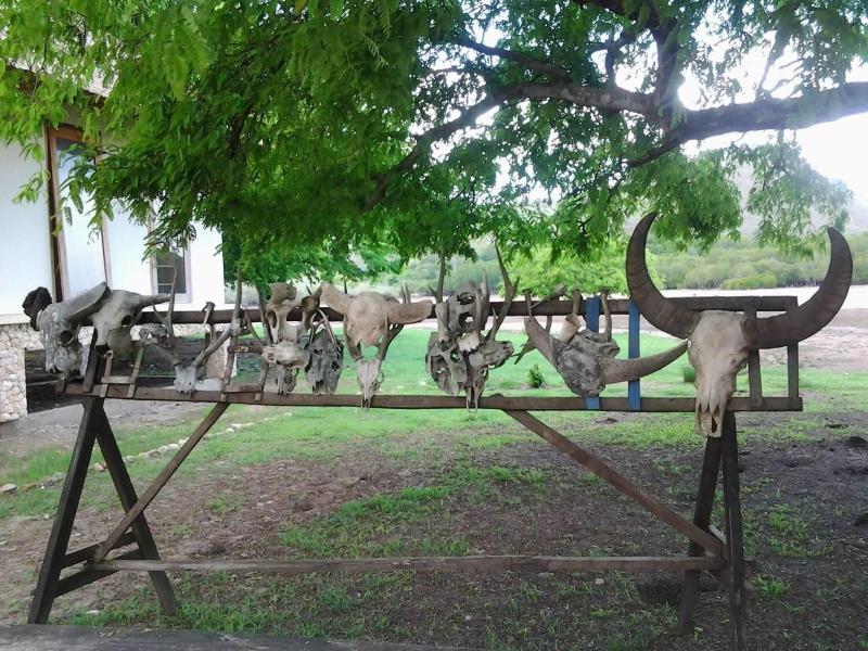 L Bajo Hotel