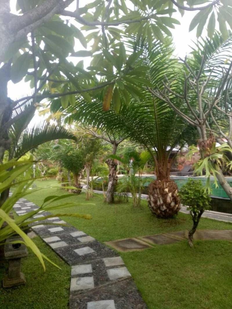 Pondok Wisata Sartaya 2 image