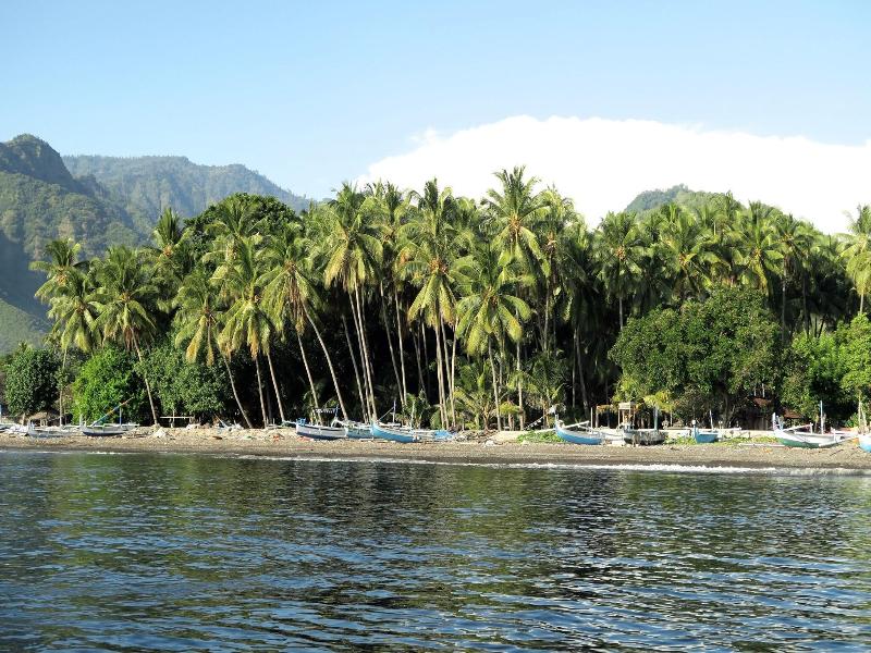 Desa Saya Eco Luxury Resort & Spa image