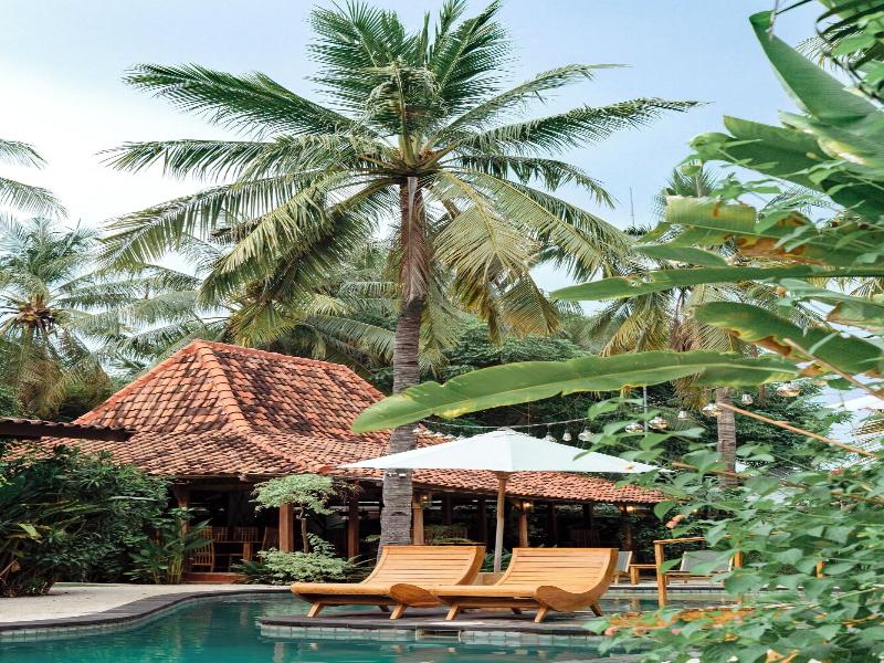 Coconut Garden Resort image