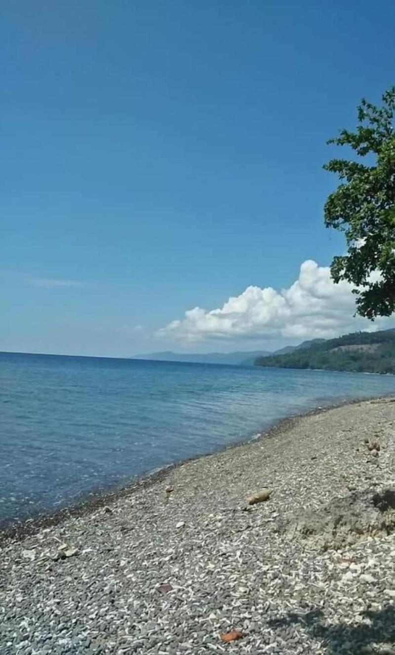 Aundanao Oasis Beach image