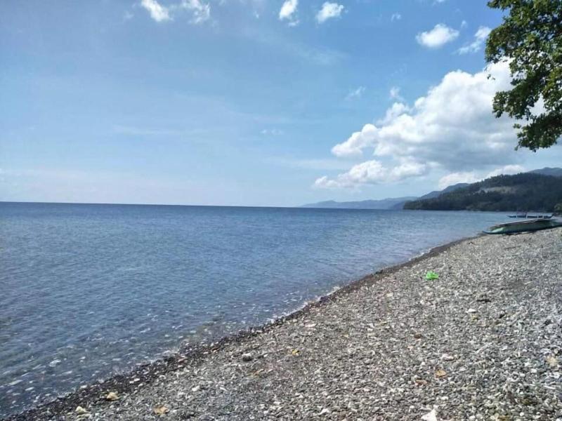 Aundanao Oasis Beach image