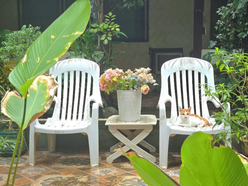Islandfront Cottages