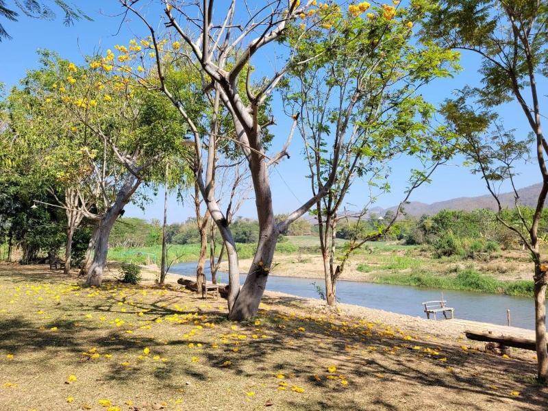 Baanmai Kon Muang image
