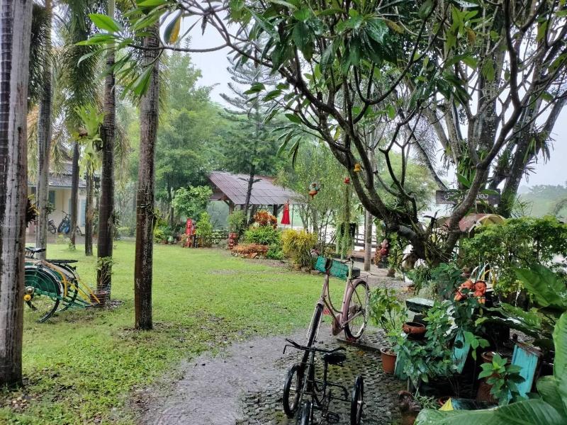 Baanmai Kon Muang image