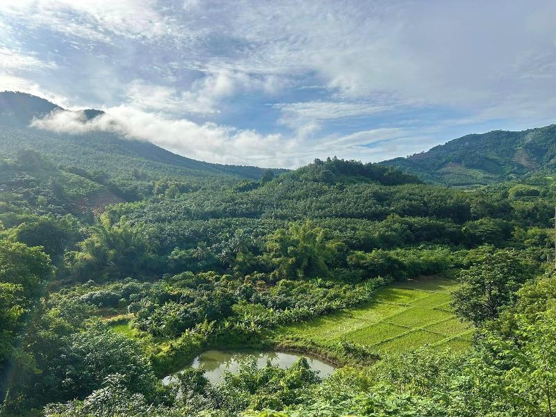 Chiangkhan River Green Hill