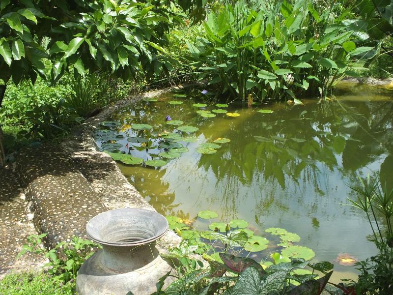 Chiang Dao Roundhouses
