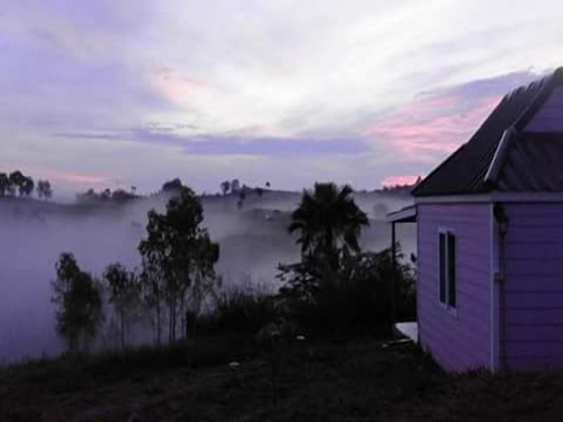 Lovely Farm