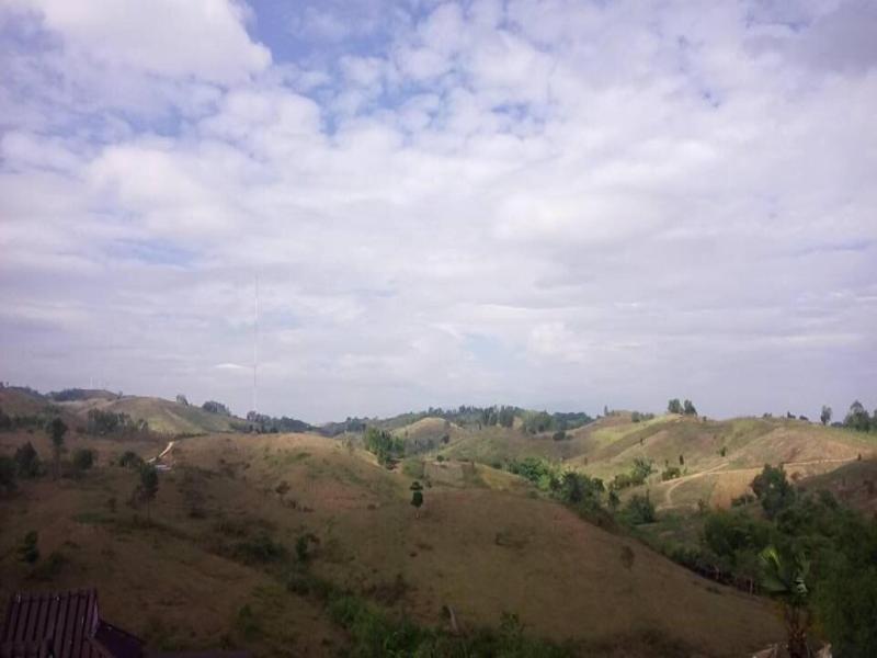 Lovely Farm