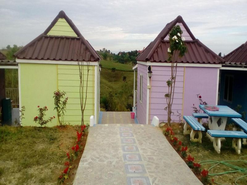 Lovely Farm