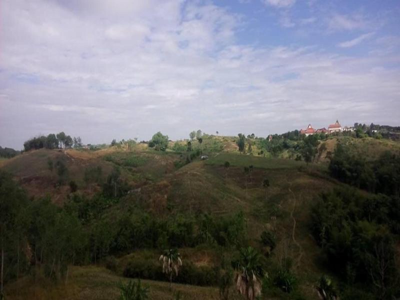 Lovely Farm