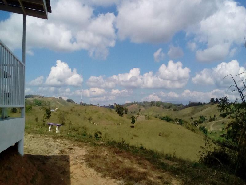 Lovely Farm