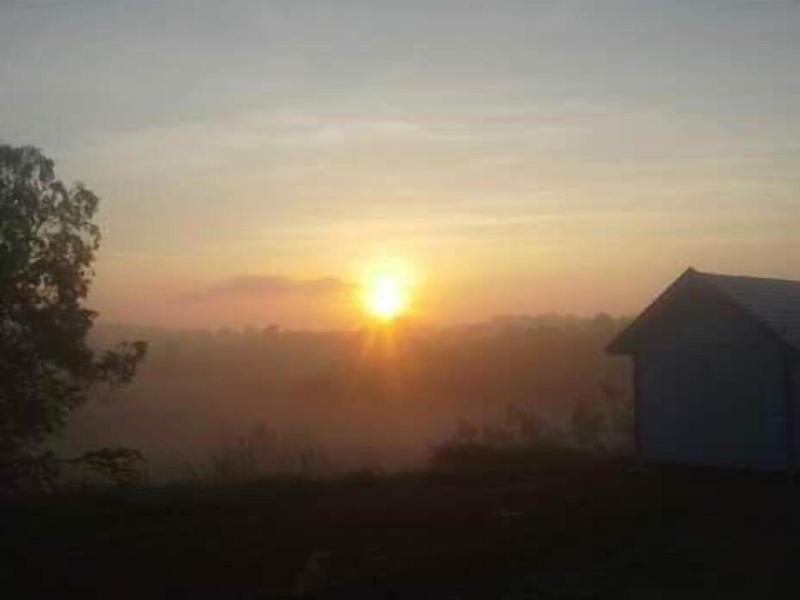 Lovely Farm