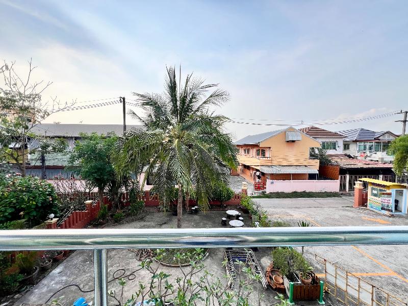 Sunshine Place Udon by ZUZU - Image 6