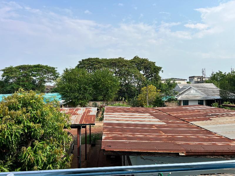 Sunshine Place Udon by ZUZU - Image 9