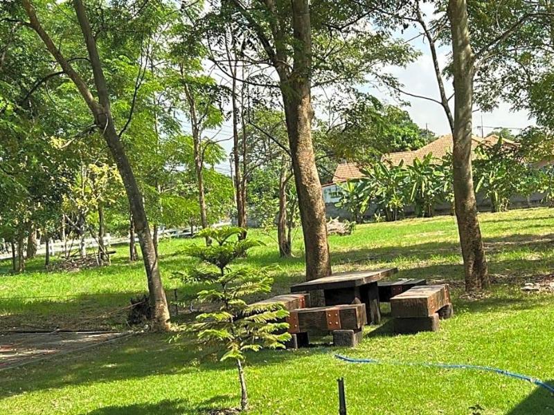 Me And Tree Villa image