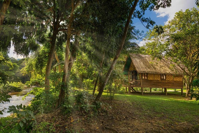 Our Jungle Camp - Eco Resort image
