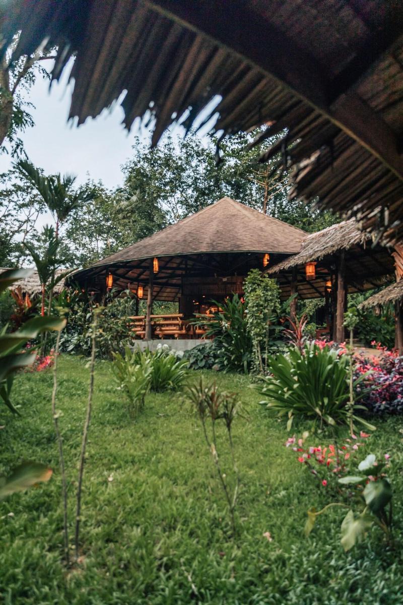 Our Jungle Camp - Eco Resort image