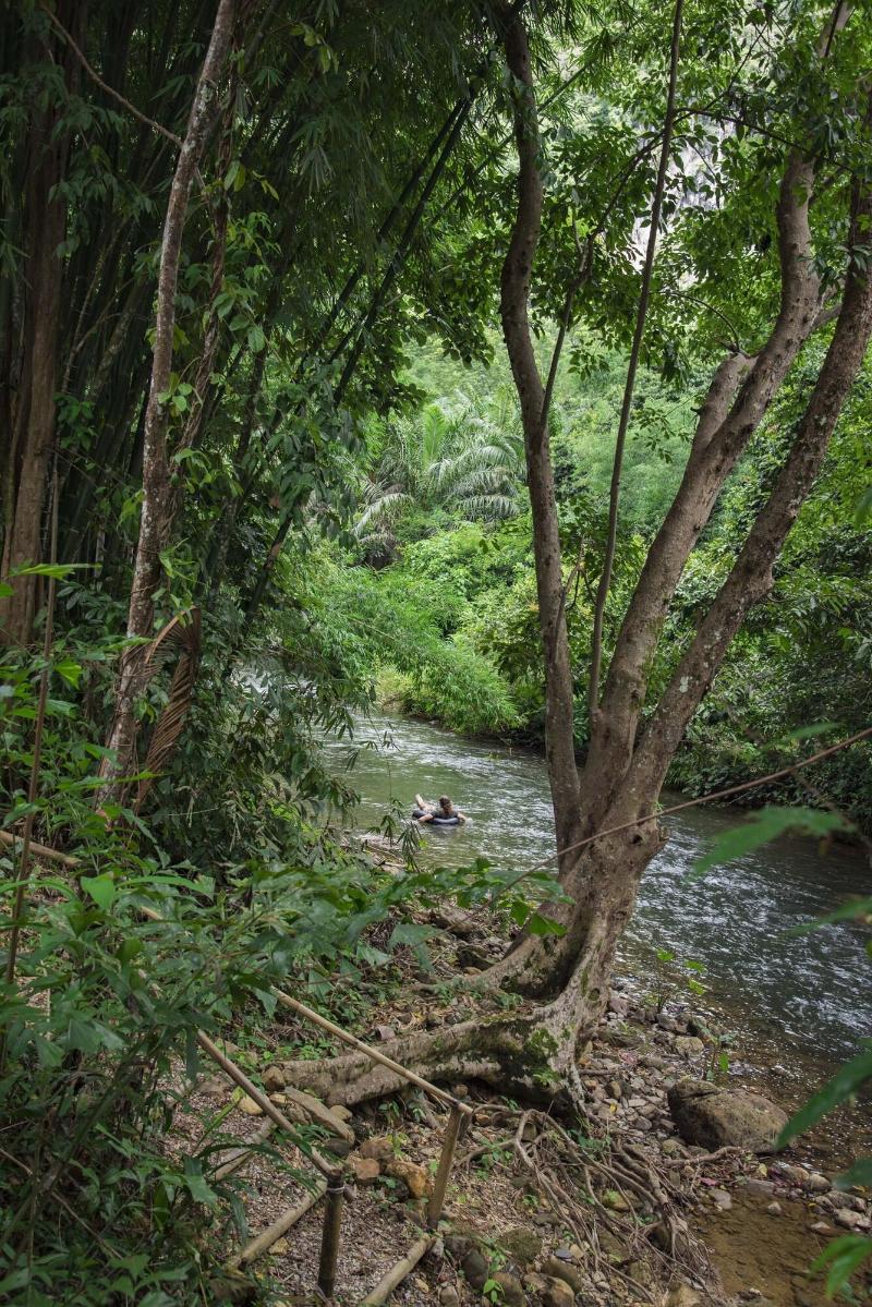 Our Jungle Camp - Eco Resort image